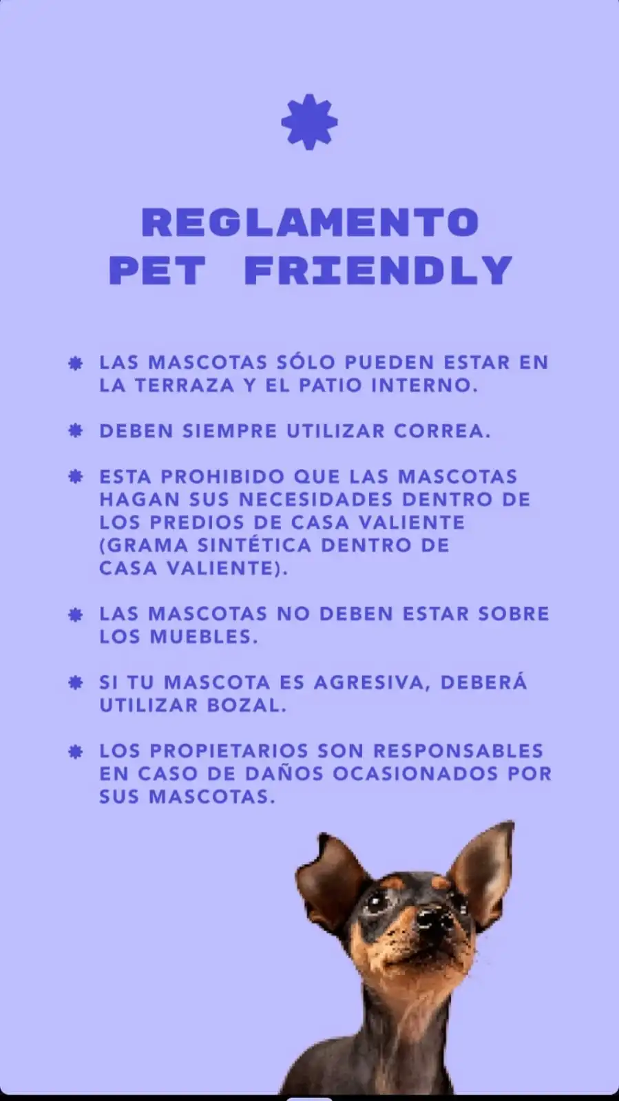 Reglas pet friendly